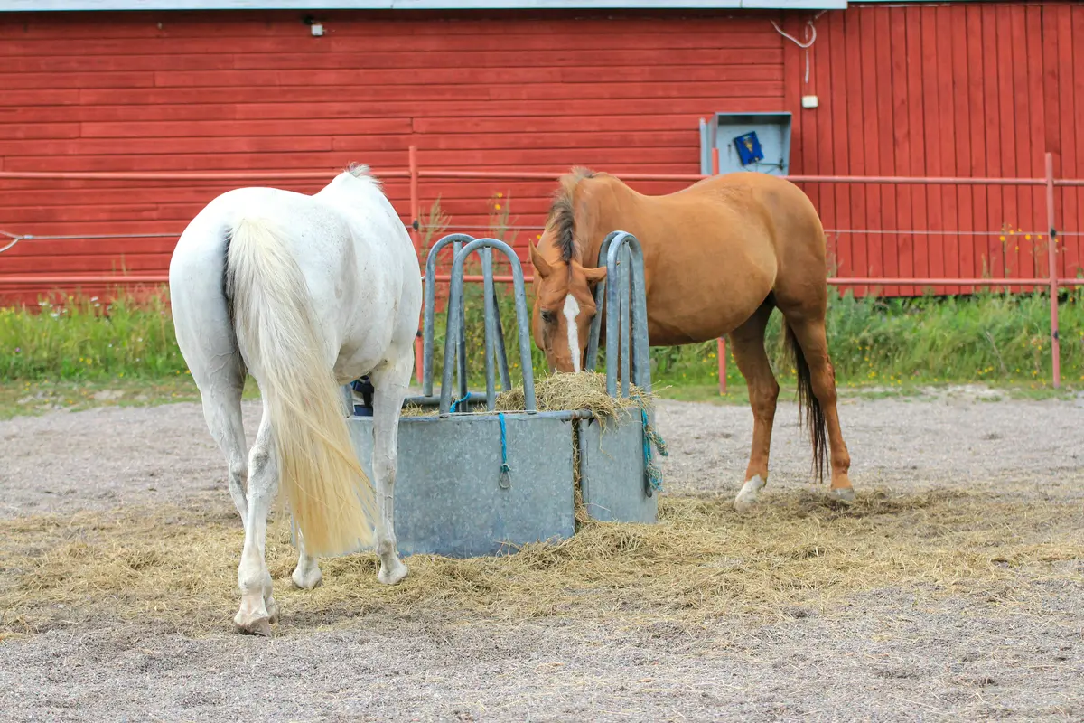Registrér hændelse